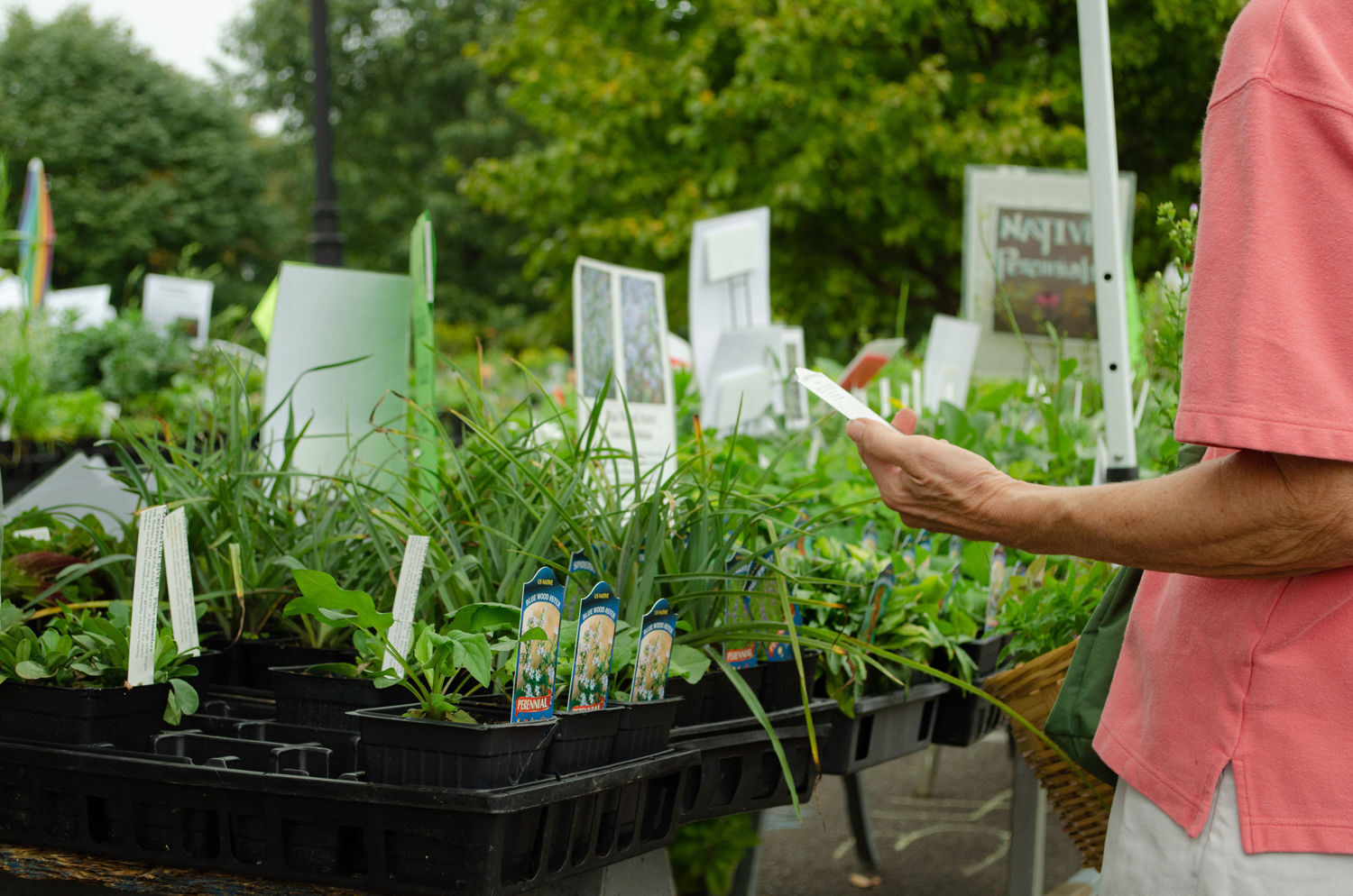 PlantFest photo by Claudine Reyes.jpg